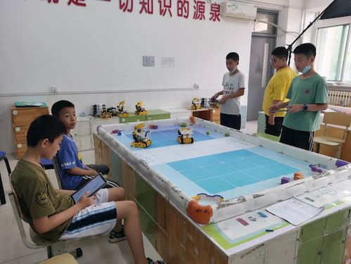 全国noc大赛,育华学校又获奖啦