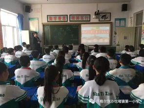 美丽的花朵在少先队绽放 少先队改革方案 我们一起学