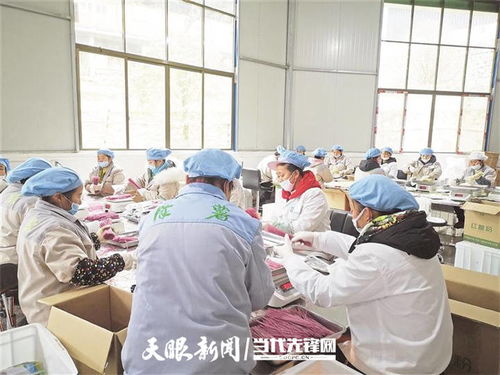 单品突破打造 联合舰队 丨贵州大力推进农产品精深加工观察