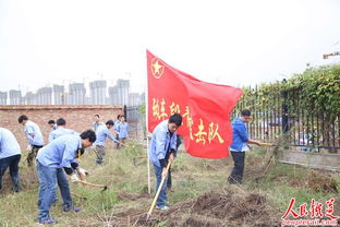 西安动车段组织团员青年开展义务拔草活动