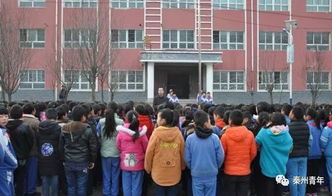 国家宪法日 全区各少先大队组织开展 为了明天 2018年青少年法治宣传教育周 主题活动 二