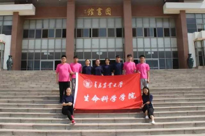 有一种青春,叫青农人的暑期社会实践-