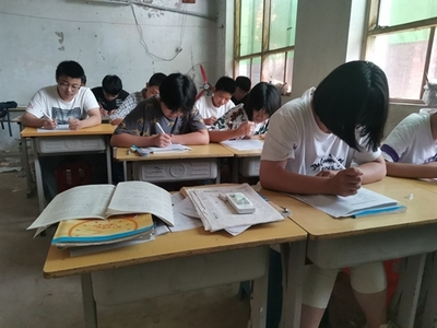 聚焦青年创新发展 巩固脱贫攻坚成果