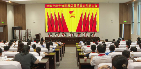 中国少年先锋队澄迈县第三次代表大会召开