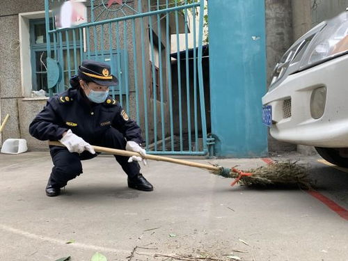 武昌城管 热干面 爱卫行动持续推进 周末义务劳动队伍请环卫工人来指导