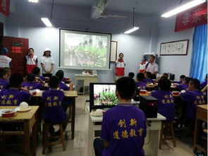 三下乡 2018暑假社会实践风采集 八