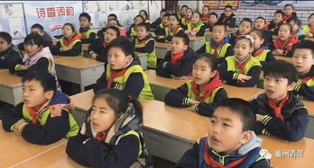 全区少先大队开展“为了明天”青少年法治宣传周主题活动