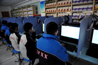 省互联网义务教育检查组莅临我校指导评估义务辅导队工作